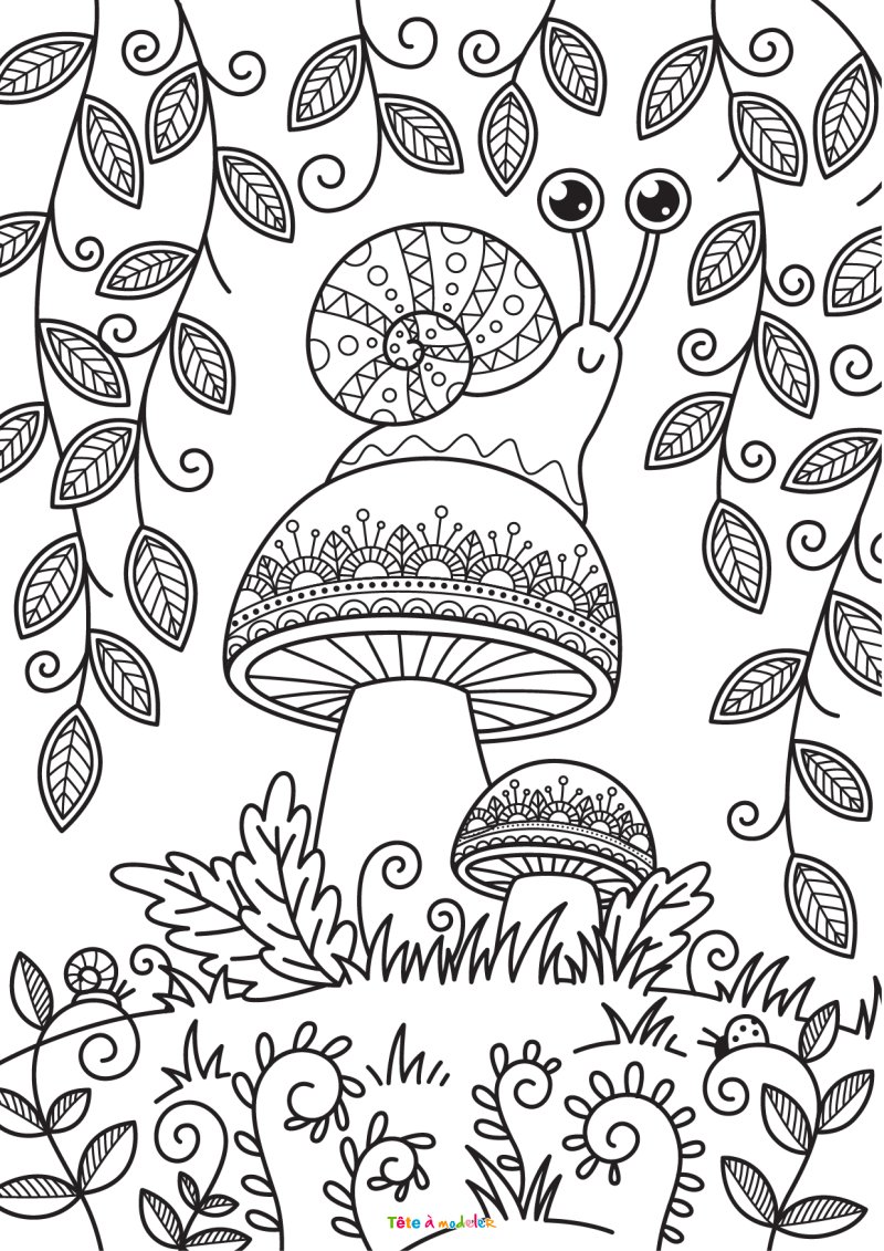 coloriage d'un champignon #04