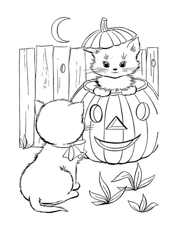 Coloriage d'un chaton Halloween