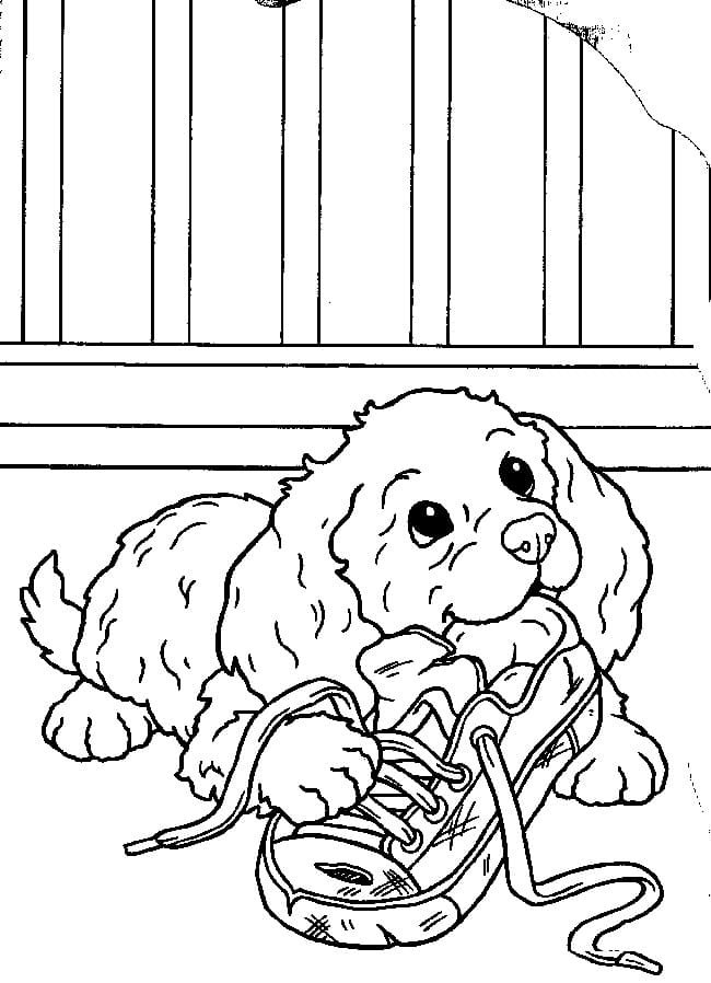 Coloriage d'un chiot avec une chaussure