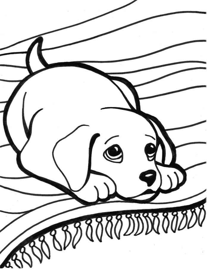 Coloriage d'un chiot facile