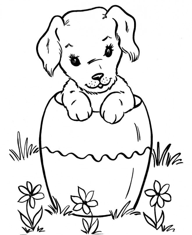 Coloriage d'un chiot labrador