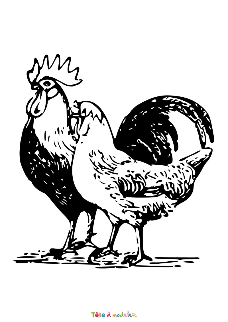 Coloriage d'un coq et une poule de Pâques