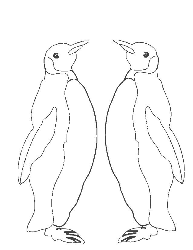 Coloriage d'un couple de manchot