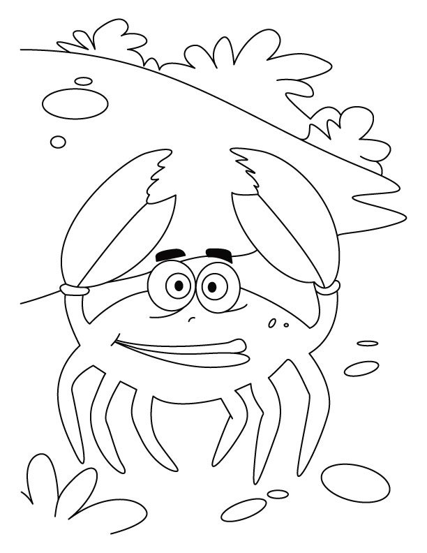 Coloriage d'un crabe qui a peur