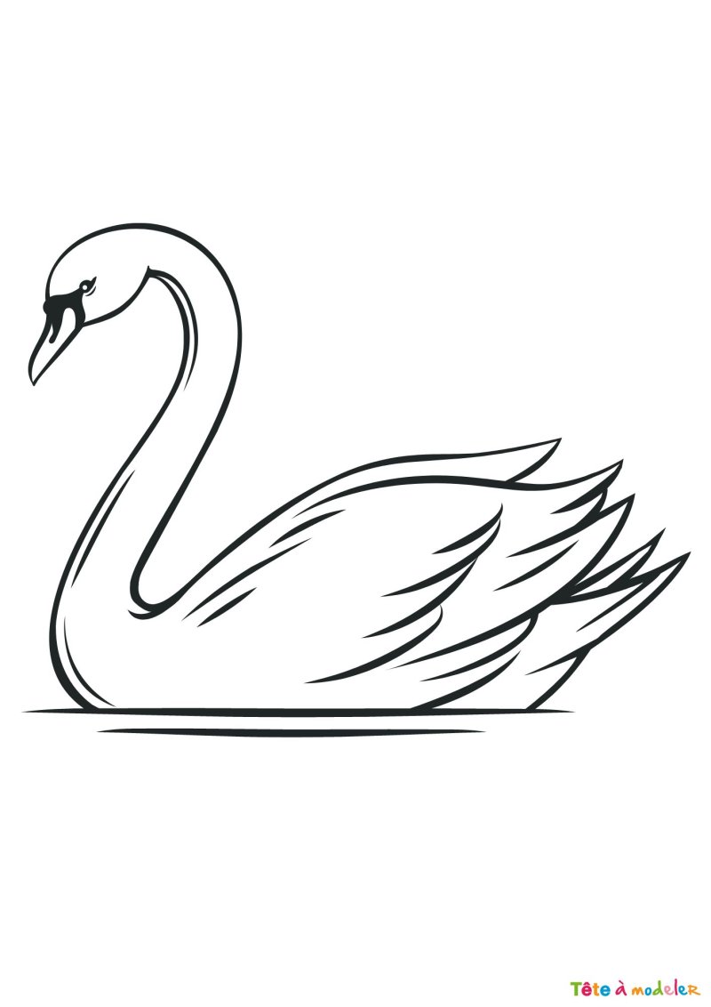 Coloriage d'un cygne en ligne
