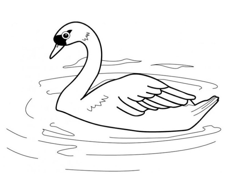 Coloriage d'un cygne en maternelle