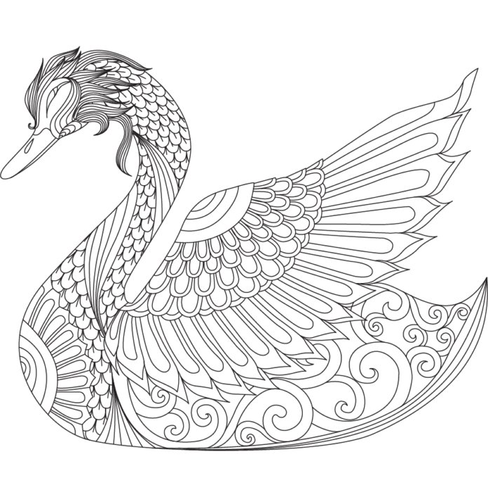 Coloriage d'un cygne mandala