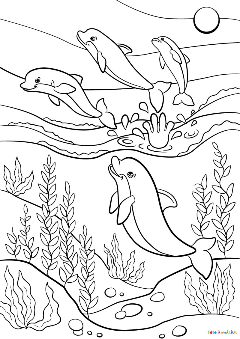 coloriage d'un dauphin acrobate