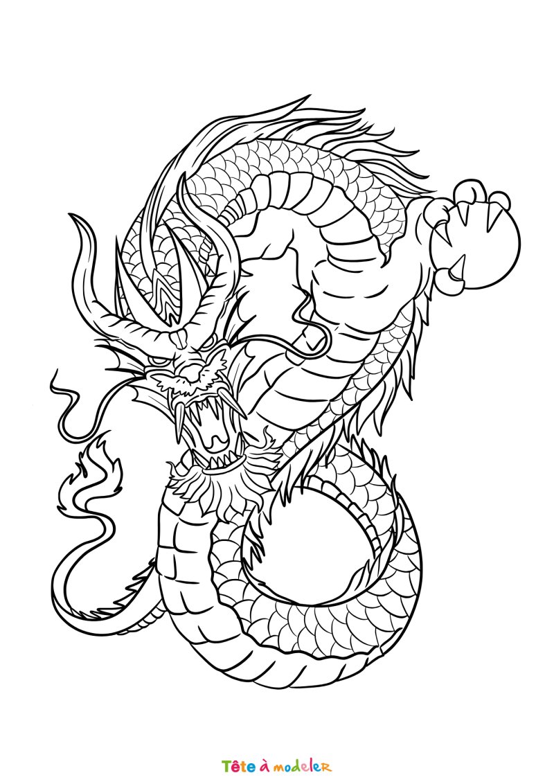 Coloriage d'un dragon chinois