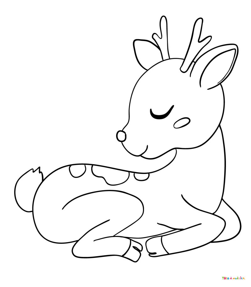 Coloriage d'un faon #01