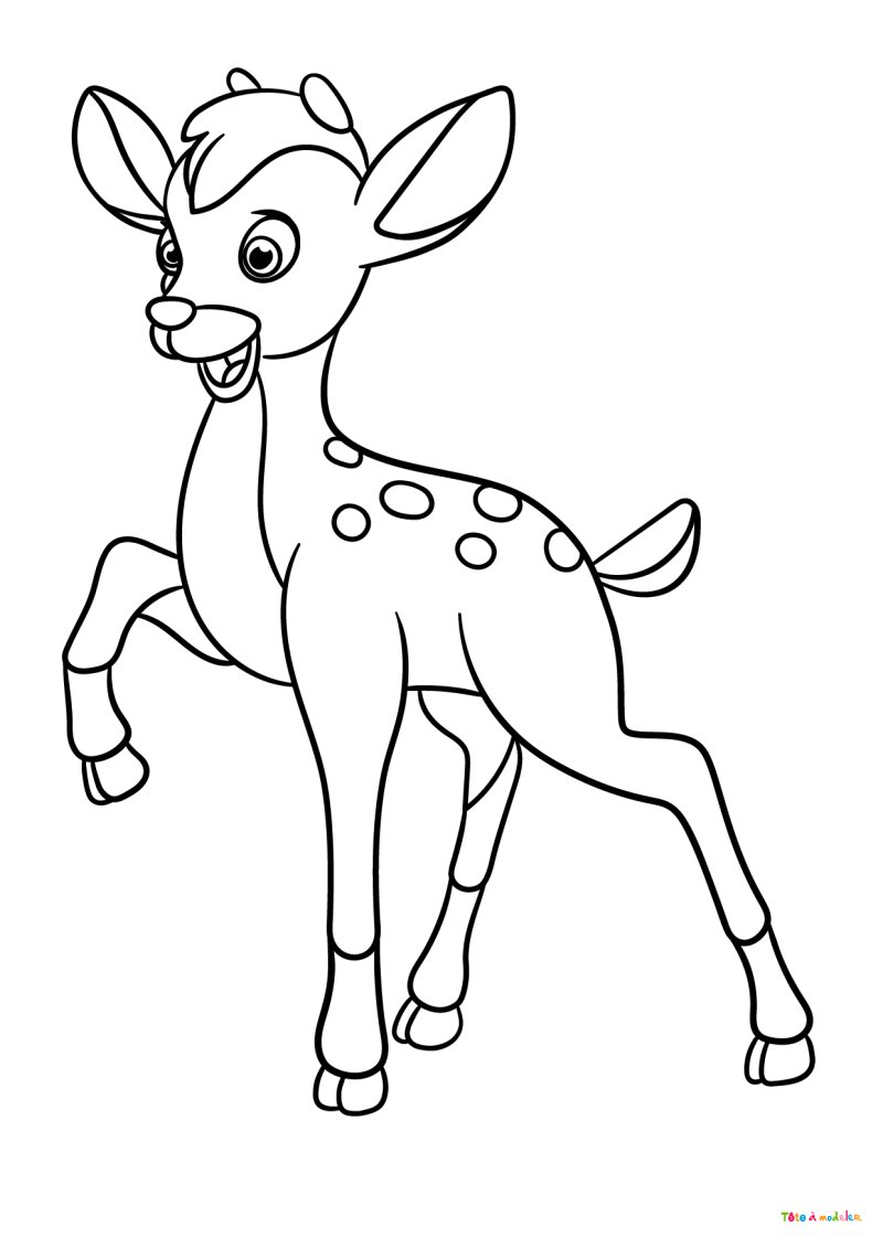 Coloriage d'un faon #03