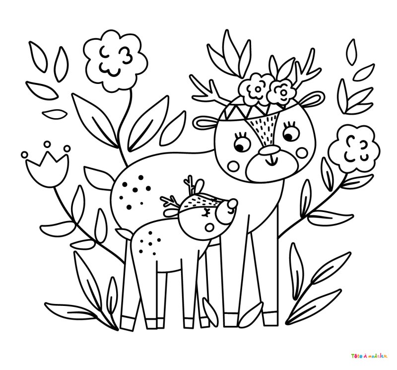Coloriage d'un faon #09