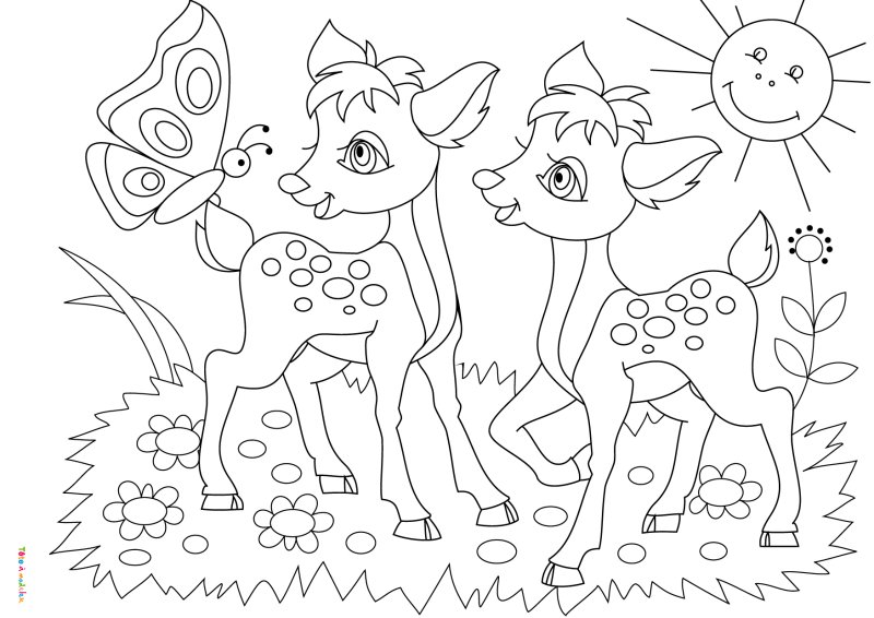 Coloriage d'un faon #10
