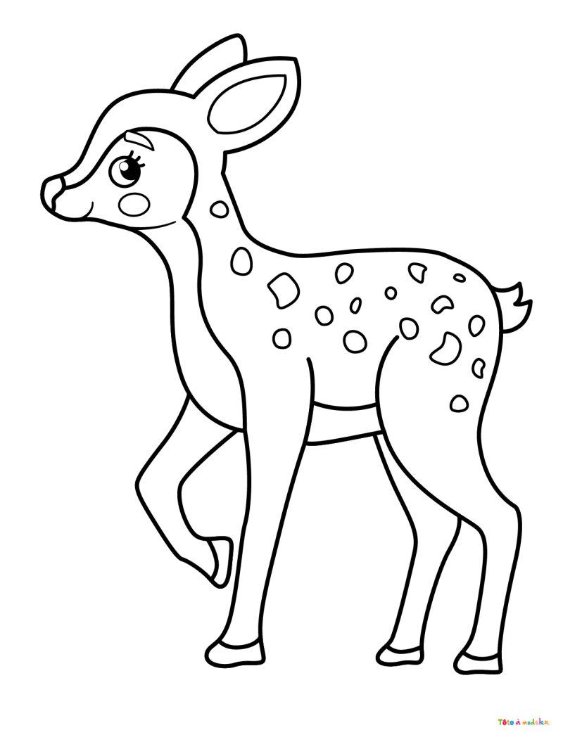 Coloriage d'un faon #11