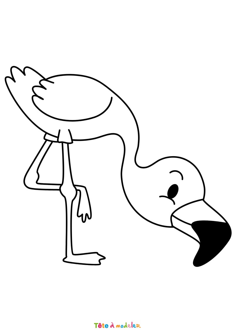 Coloriage d'un flamant rose qui mange
