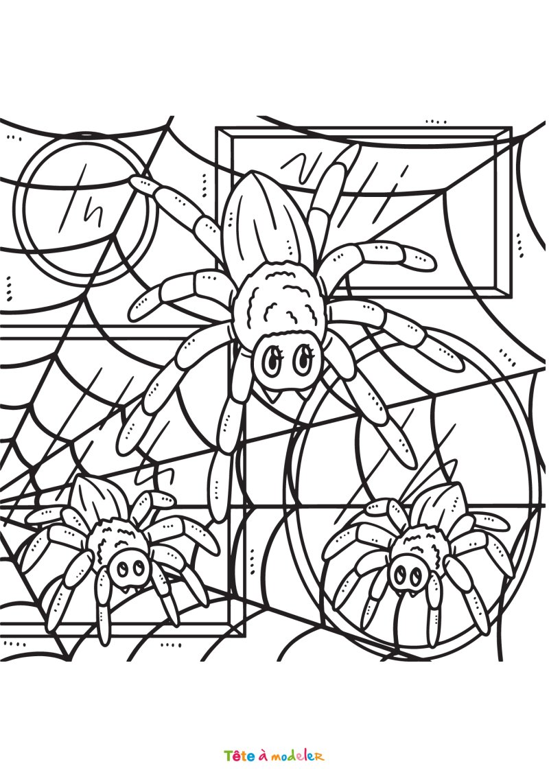 Coloriage d'un groupe d'araignées