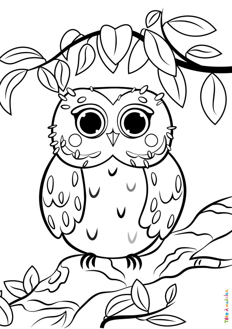 Coloriage d'un hibou kawaii