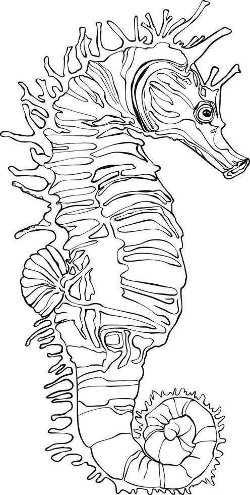 Coloriage d'un hippocampe dans la mer