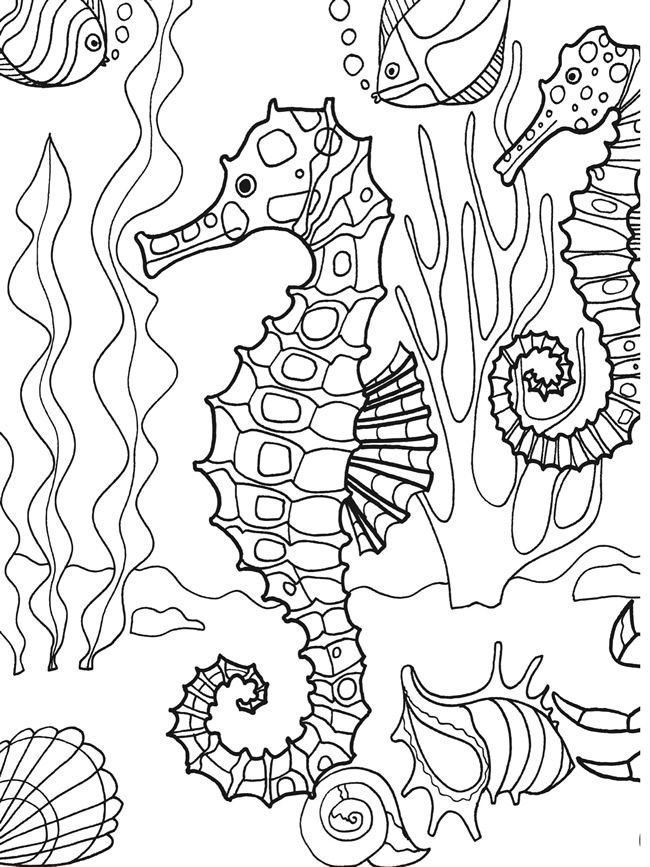 Coloriage d'un hippocampe original