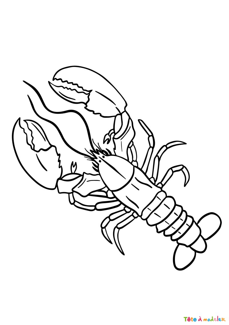Coloriage d'un homard de Noël
