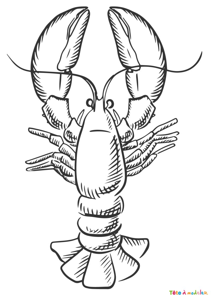 Coloriage d'un homard en ligne