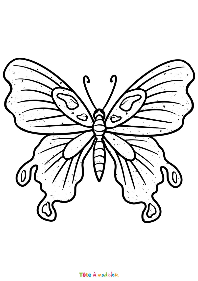 Coloriage d'un joli papillon