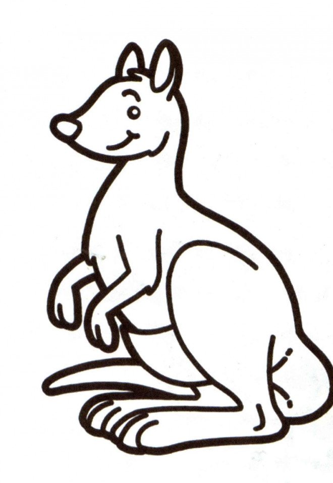 Coloriage d'un kangourou content