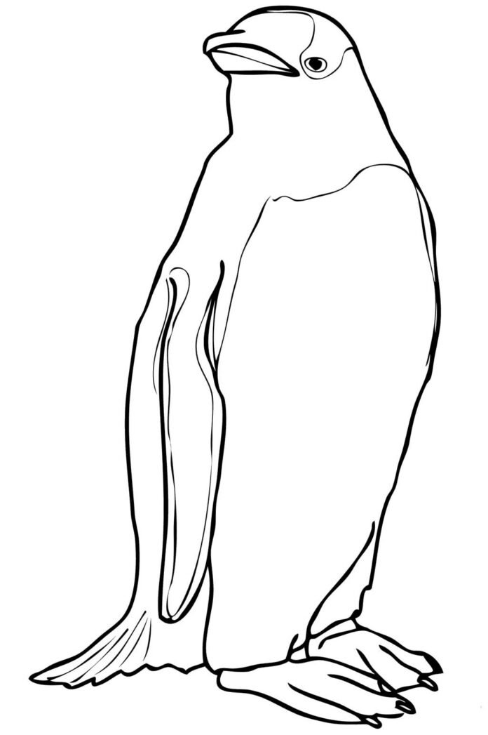 Coloriage d'un manchot en pdf