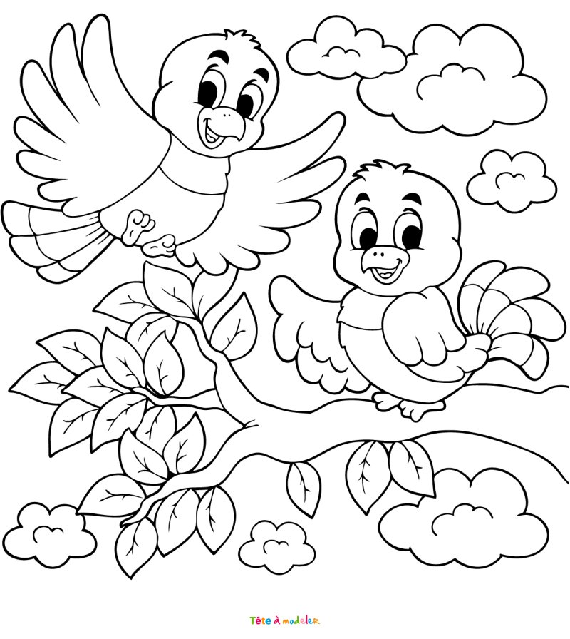 coloriage d'un oiseau sur la branche