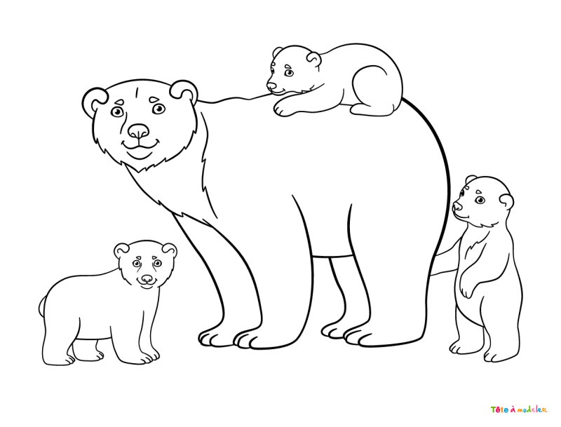 Coloriage d'un ours avec ses oursons