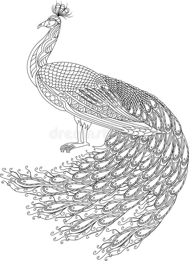 Coloriage d'un paon à imprimer