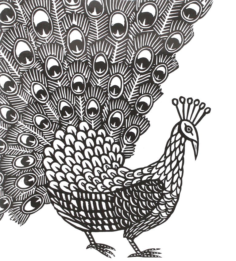 Coloriage d'un paon gratuit