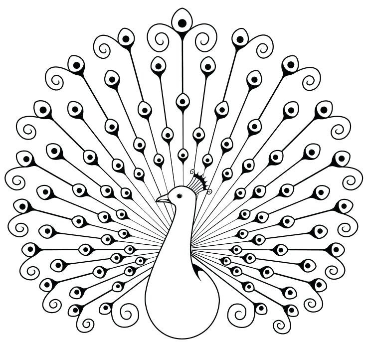 Coloriage d'un paon qui fait la roue
