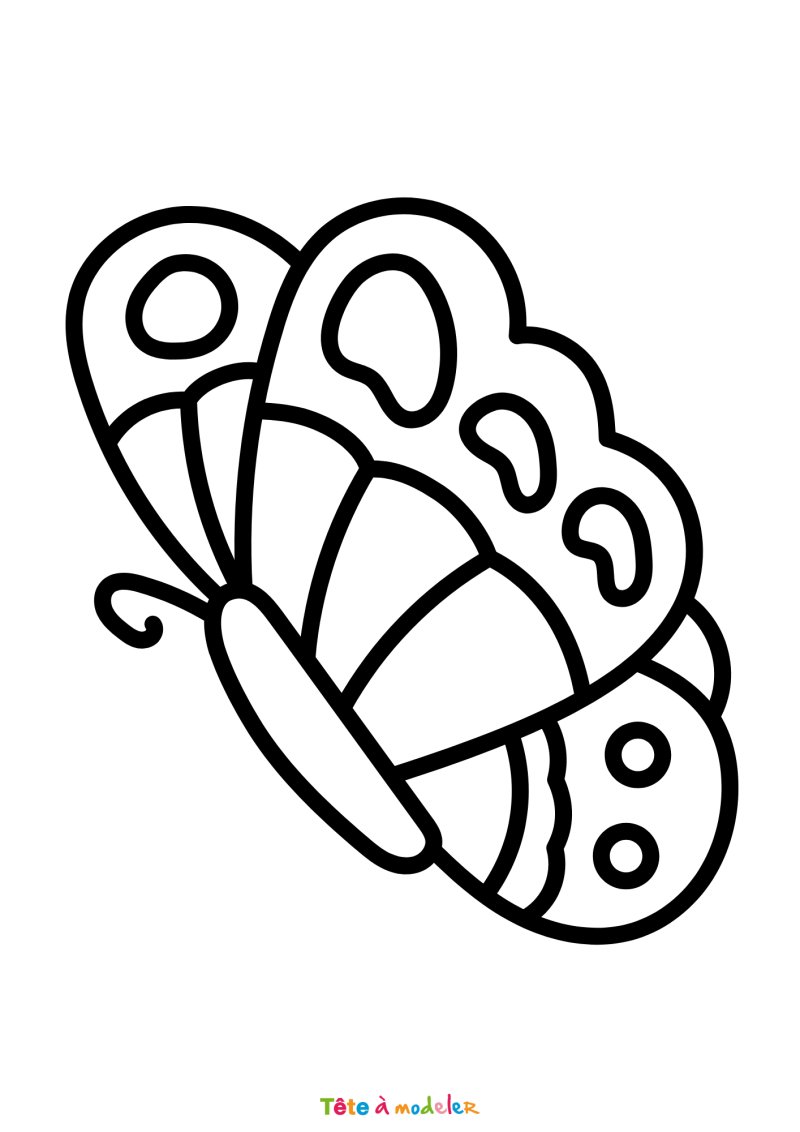 Coloriage d'un papillon à gros traits