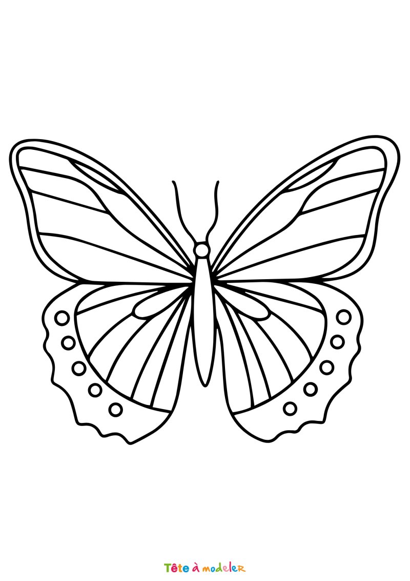 Coloriage d'un papillon à imprimer