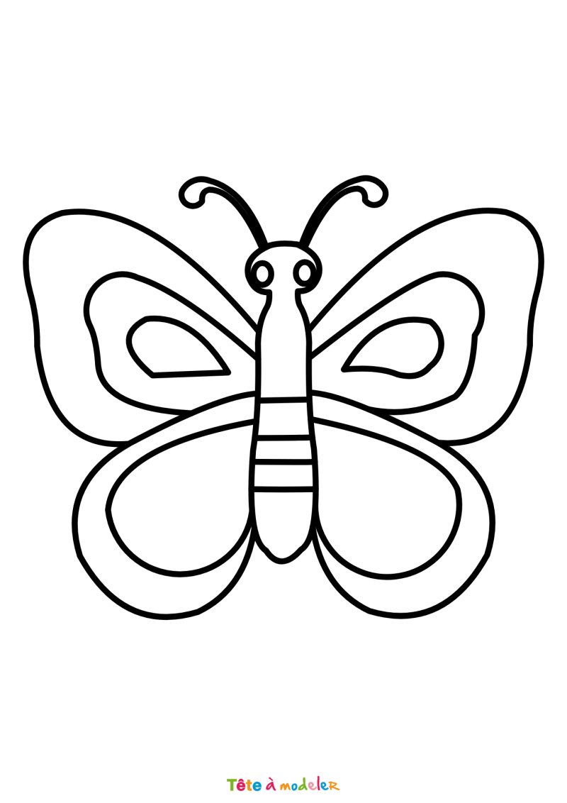 Coloriage d'un papillon classique