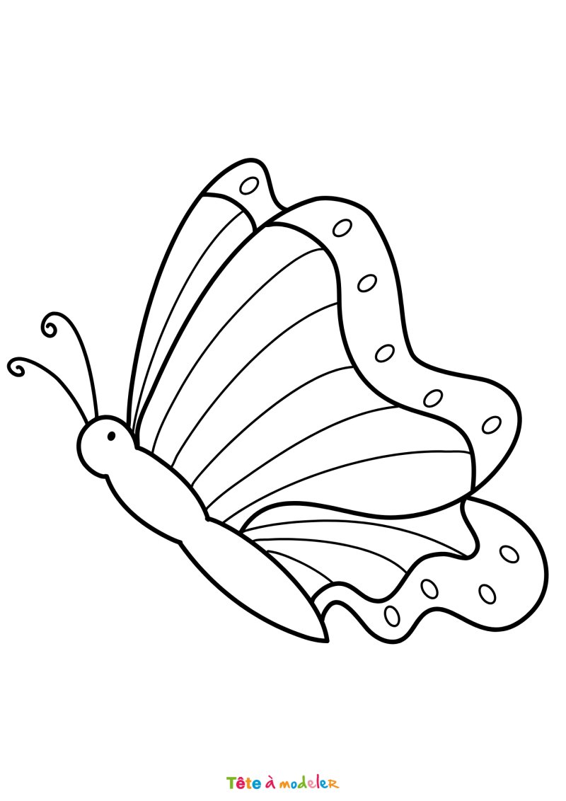 Coloriage d'un papillon en vol
