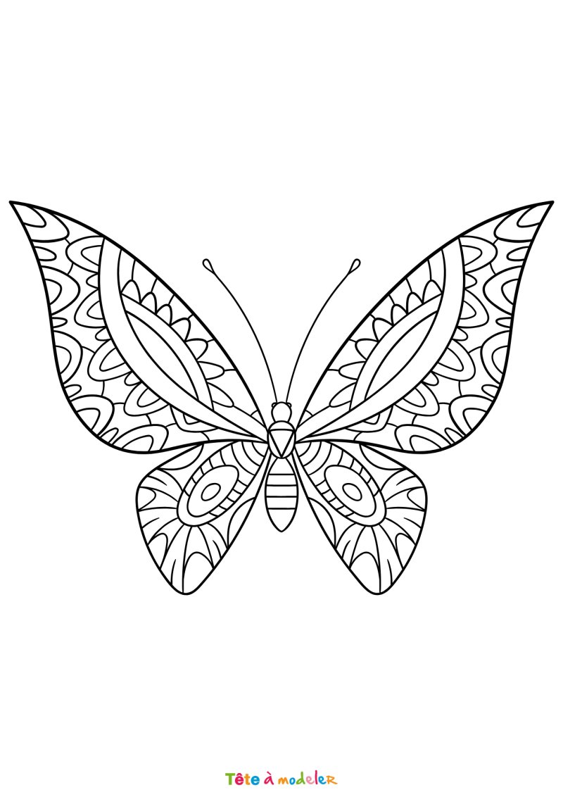 Coloriage d'un papillon ethnique