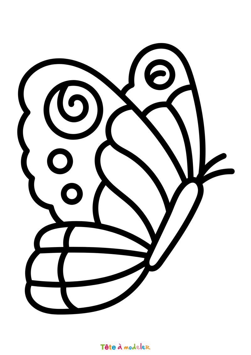 Coloriage d'un papillon gratuit