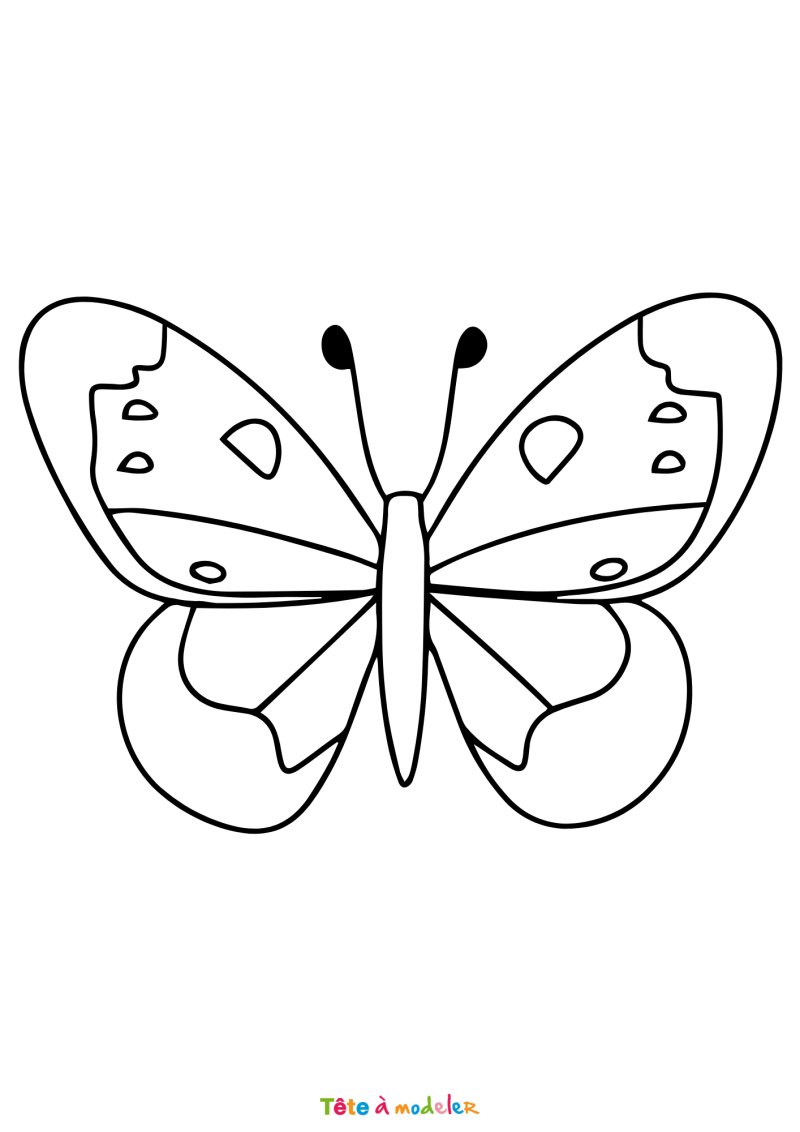 Coloriage d'un papillon maternelle