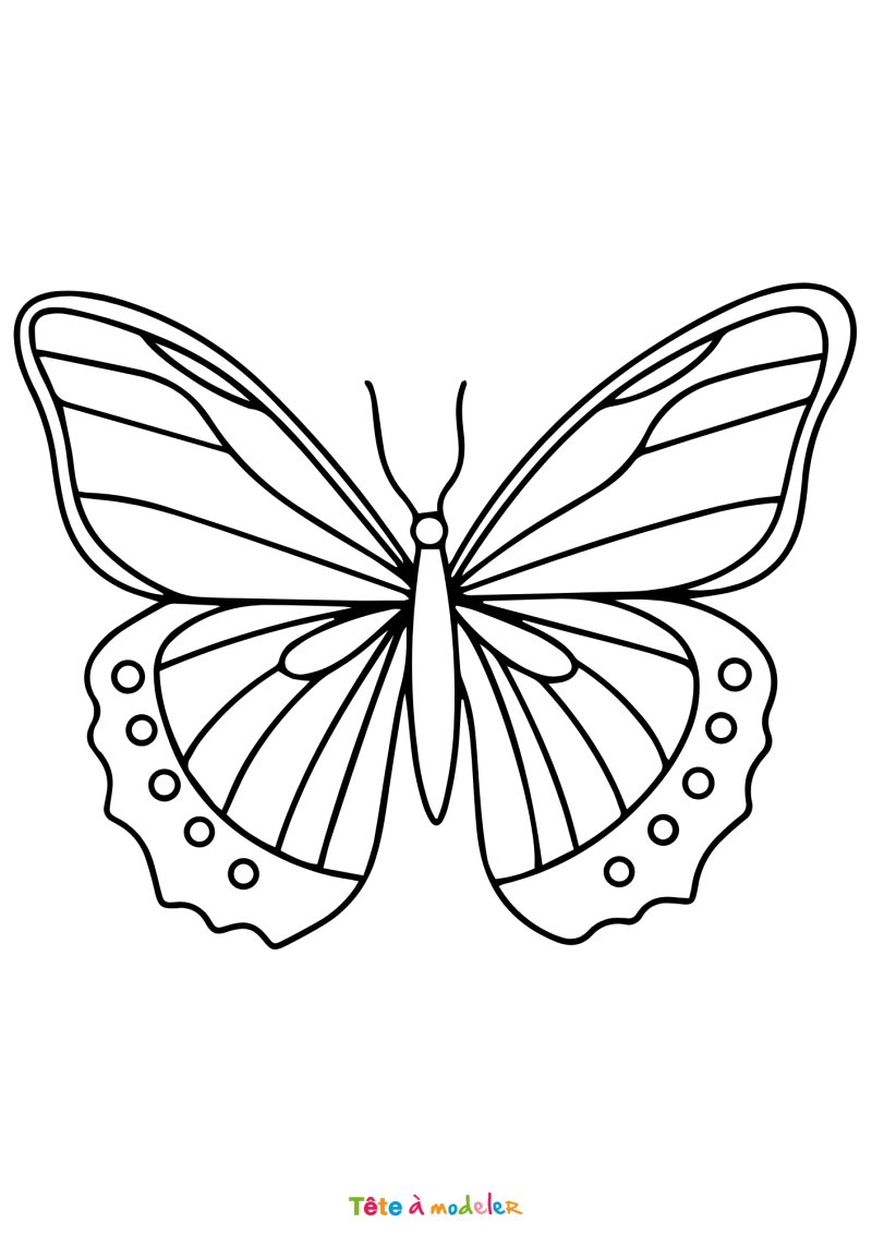 Coloriage d'un papillon rapide