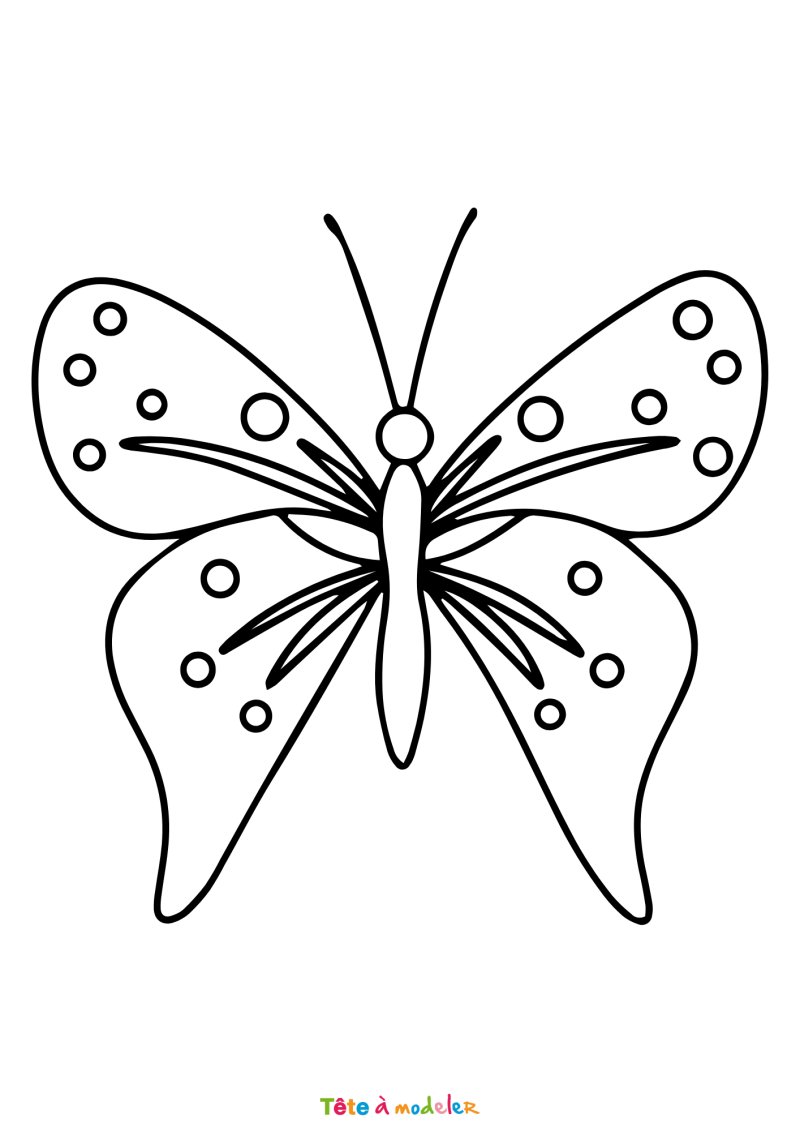 Coloriage d'un papillon simple