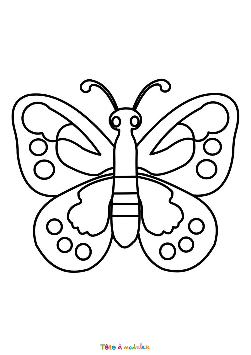 Coloriage d'un petit papillon
