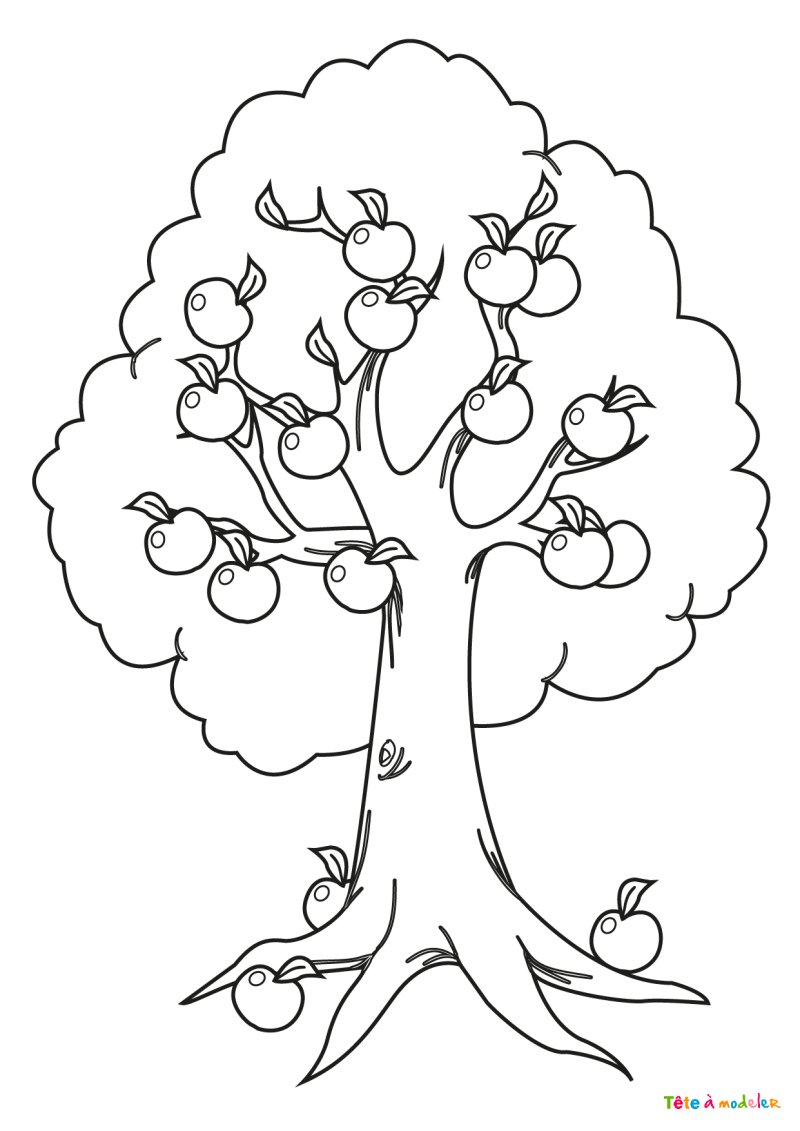 Coloriage d'un pommier #02