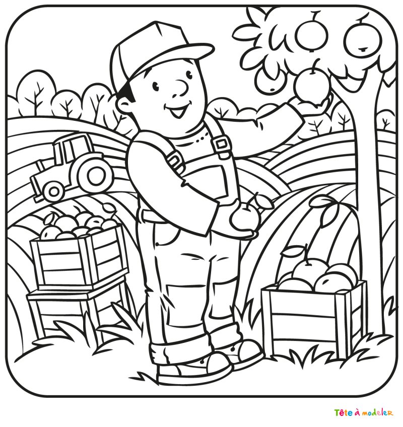 Coloriage d'un pommier #04