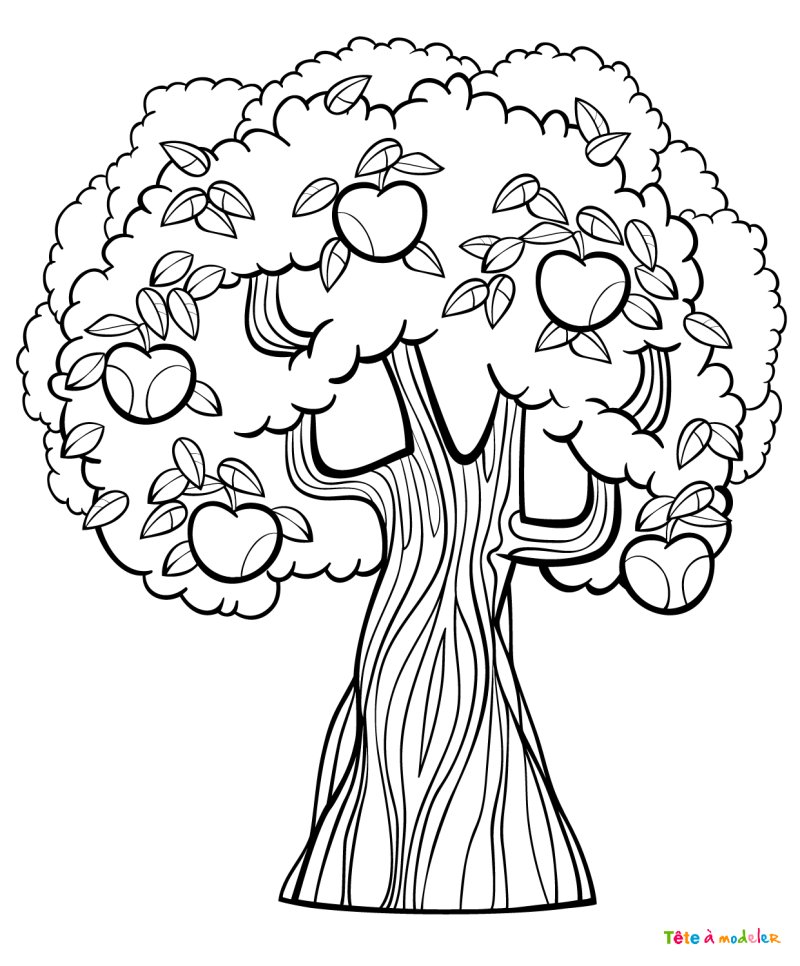 Coloriage d'un pommier #05