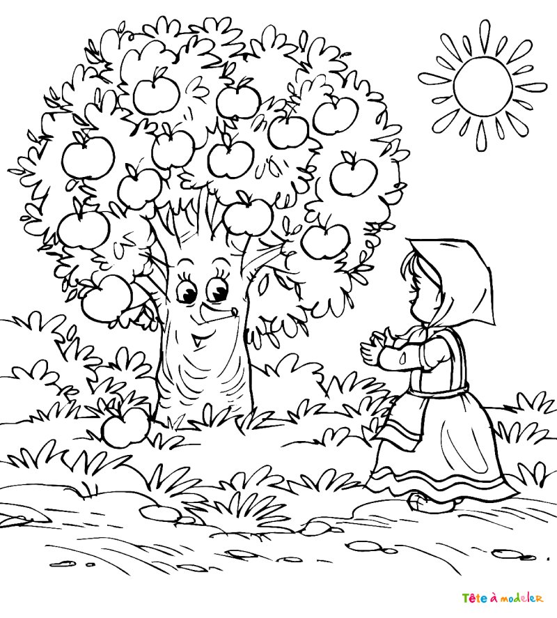 Coloriage d'un pommier #07