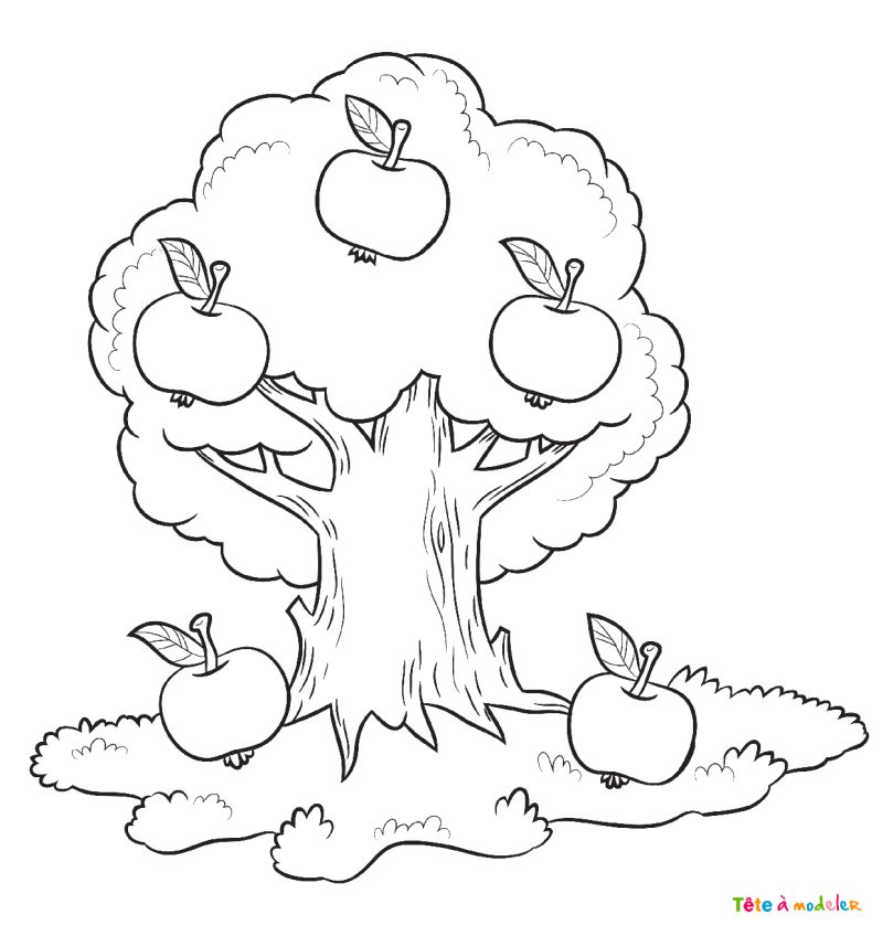 Coloriage d'un pommier #08
