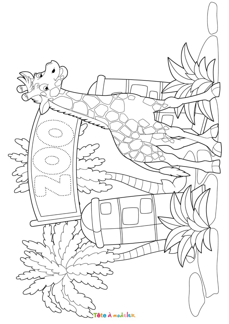 Coloriage d'un zoo à télécharger