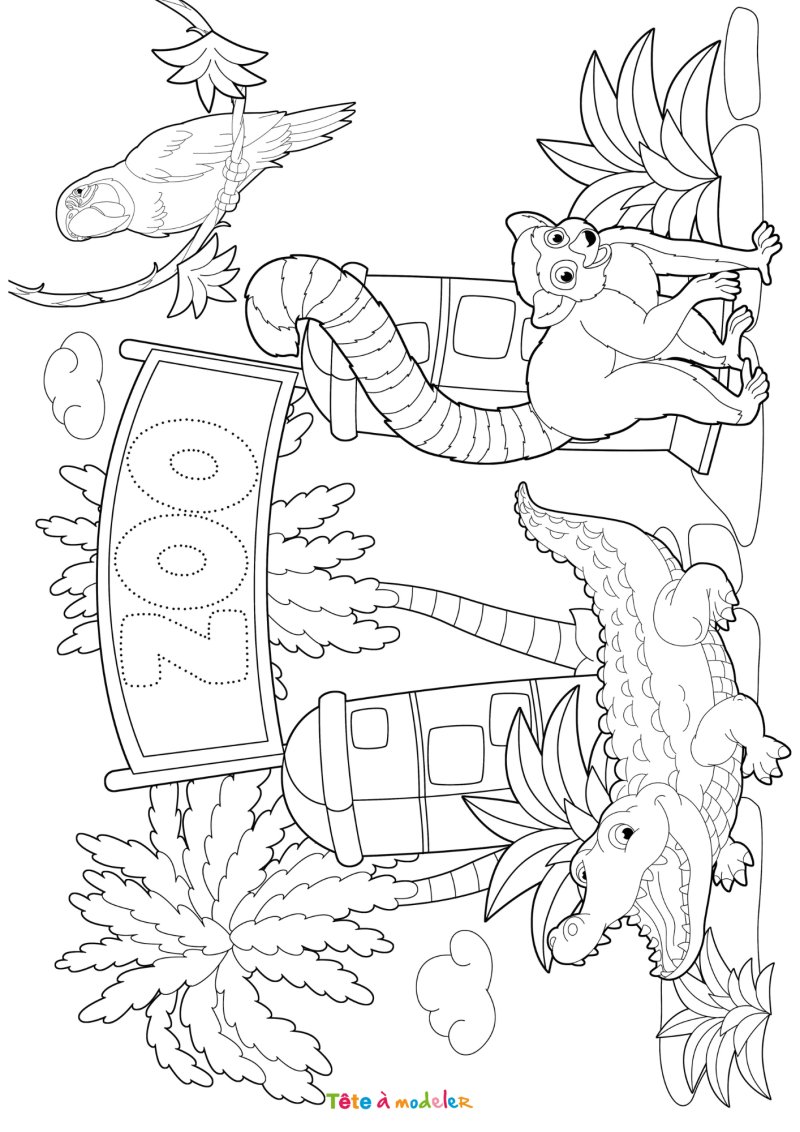 Coloriage d'un zoo facile